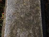 image of grave number 954425